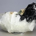 Black Tourmaline with Cleavelandite Mineral Specimen ~85mm