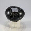 Black Tourmaline Tumblestone(Extra Grade) ~33mm