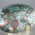 Bloodstone Palmstone (Extra Grade) ~70x50mm