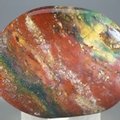 Bloodstone Polished Stone ~57mm