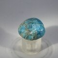 Blue Apatite Tumblestone  ~23mm