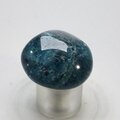 Blue Apatite Tumblestone  ~26mm