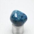 Blue Apatite Tumblestone  ~27mm