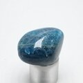 Blue Apatite Tumblestone  ~31mm