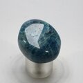 Blue Apatite Tumblestone  ~31mm
