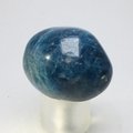 Blue Apatite Tumblestone  ~32mm