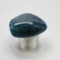 Blue Apatite Tumblestone  ~32mm