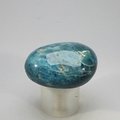 Blue Apatite Tumblestone  ~33mm