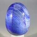 Crystal Egg Specials