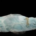 Blue Hemimorphite Mosaic Tile ~52mm