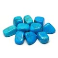 Blue Howlite Tumble Stone (20-25mm)
