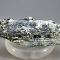 Blue Kyanite & Biotite Mica Healing Crystal ~55mm