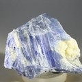 Blue Kyanite Healing Crystal ~60mm