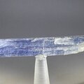 Blue Kyanite Healing Crystal ~95mm