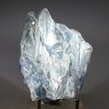 AMAZING Blue Kyanite (Paraiba) Healing Crystal ~78mm
