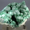 Botryoidal Malachite & Chrysocolla Healing Mineral ~65mm
