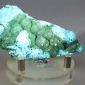 Botryoidal Malachite & Chrysocolla Healing Mineral ~73mm