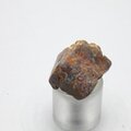 Boulder Opal   ~23mm
