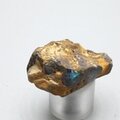 Boulder Opal   ~30mm