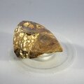 Boulder Opal   ~30mm