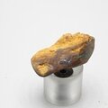 Boulder Opal   ~32mm