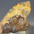 Boulder Opal   ~56mm