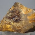 Boulder Opal   ~63mm