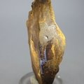 Boulder Opal   ~75mm