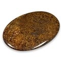 Bronzite Palm Stone ~70x50mm