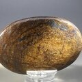 Bronzite Palmstone (Extra Grade) ~70x50mm