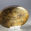 Bronzite Palmstone (Extra Grade) ~70x50mm