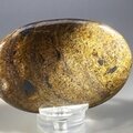 Bronzite Palmstone (Extra Grade) ~70x50mm