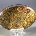 Bronzite Palmstone (Extra Grade) ~70x50mm