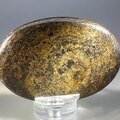 Bronzite Palmstone (Extra Grade) ~70x50mm