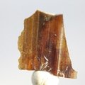 Brookite Healing Crystal ~23mm