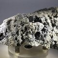 Brookite Mineral Specimen (Extra Grade) ~85mm