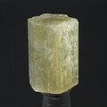 Brown Apatite Healing Crystal ~19mm
