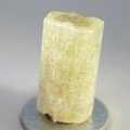 Brown Apatite Healing Crystal ~27mm