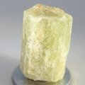 Brown Apatite Healing Crystal ~28mm