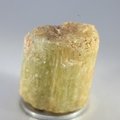 Brown Apatite Healing Crystal ~35mm