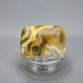 Bumble Bee Jasper Cabochon ~32mm