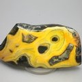 Bumble Bee Jasper Polished Freeform ~39x81mm