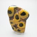 Bumble Bee Jasper Polished Freeform ~82x60mm