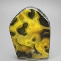 Bumble Bee Jasper Polished Freeform ~90x68mm
