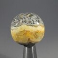 Bumble Bee Jasper Tumblestone ~26mm