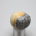 Bumble Bee Jasper Tumblestone ~27mm