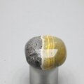 Bumble Bee Jasper Tumblestone ~27mm