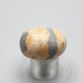 Bumble Bee Jasper Tumblestone ~29mm