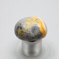 Bumble Bee Jasper Tumblestone ~29mm