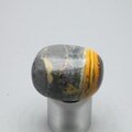 Bumble Bee Jasper Tumblestone ~29mm